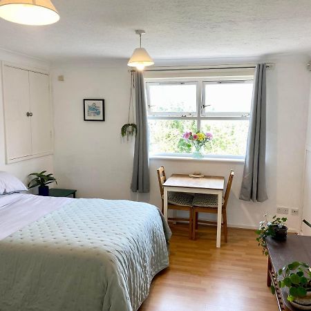 Bright And Comfortable Studio Apartment London Kültér fotó